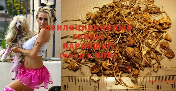 а пвп мука Абаза
