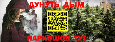 шишки Тверь