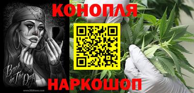 шишки Тверь