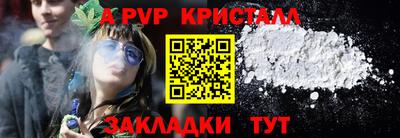 шишки Тверь