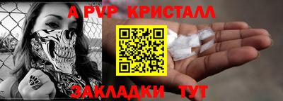 шишки Тверь