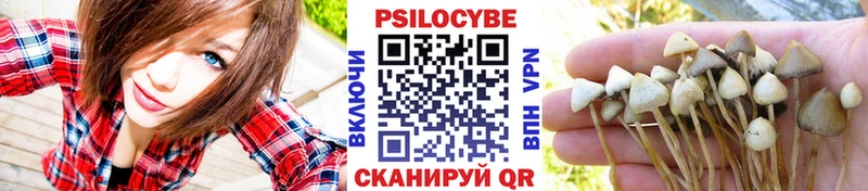 Псилоцибиновые грибы Magic Shrooms  OMG сайт  Саянск 