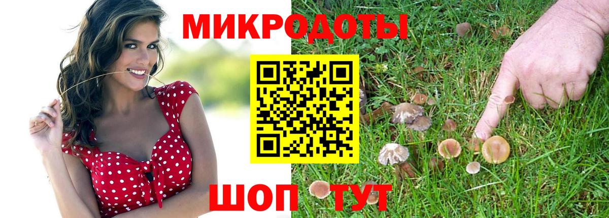 Псилоцибиновые грибы мицелий Саянск